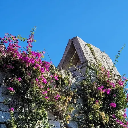 Li Conchi 17 Villa *